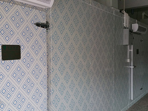 冷庫(kù)設(shè)備工程案例