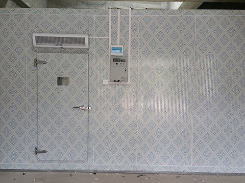 宜昌冷庫(kù)工程案例